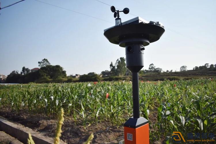 成都弱電公司—智能蟲情測報系統，保障植株安全